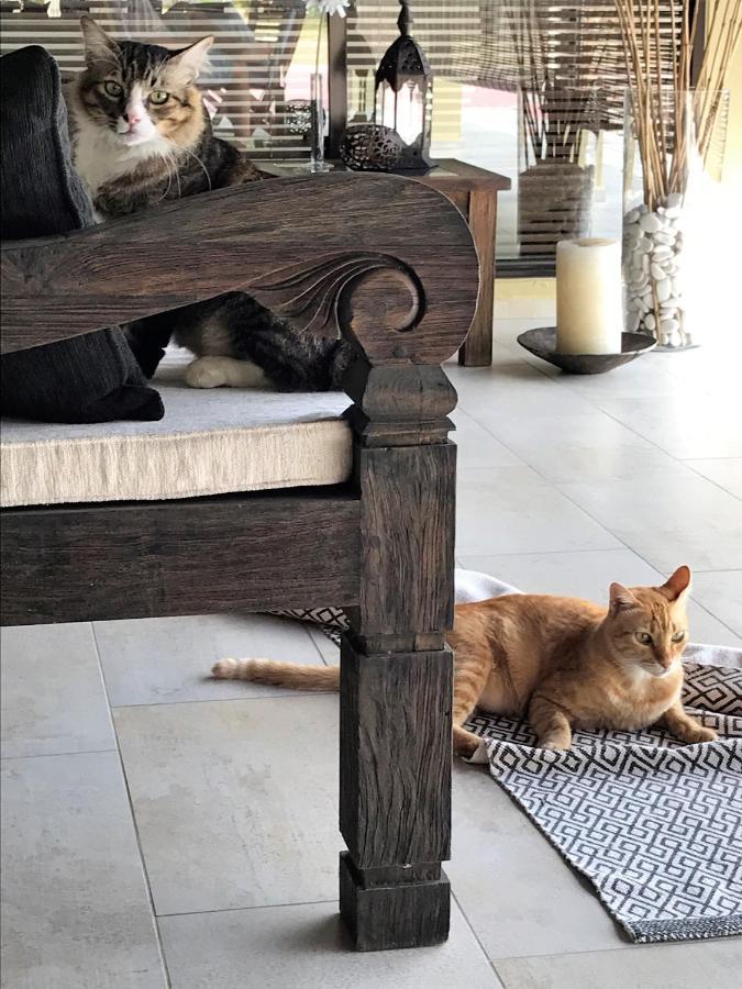 Villa Kelapa Langkawi Kuah Eksteriør bilde